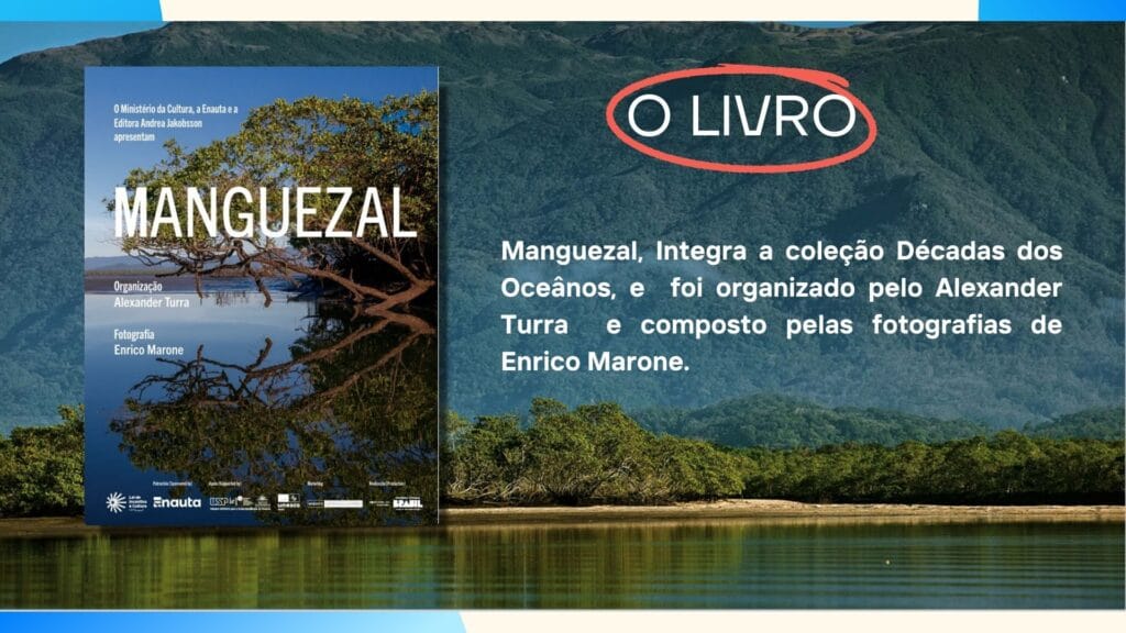 CURSO: O MANGUEZAL COMEÇA AQUI! 12 CAPA 04 CURSO2 em Pluriverso