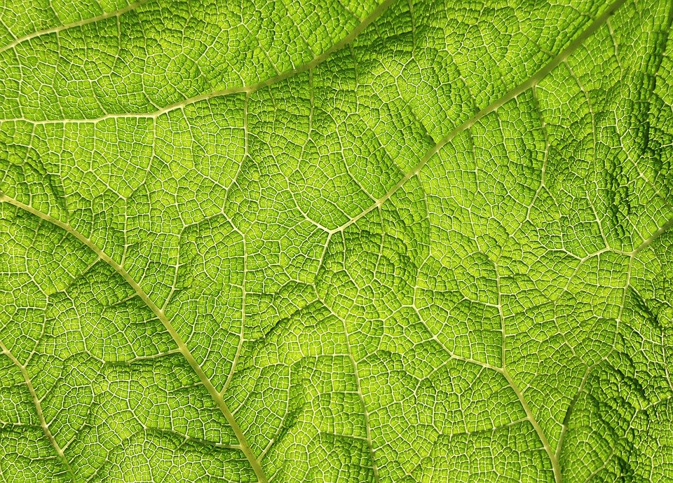 60e729ece199d bp cover image em Pluriverso